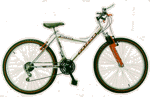 Bike-cross walking